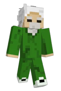 SokiKiwi Minecraft avatar full body