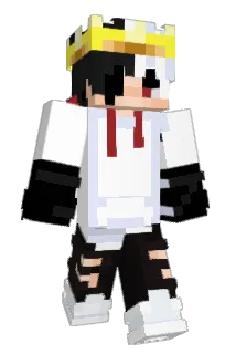 Sokolik2137 Minecraft avatar full body
