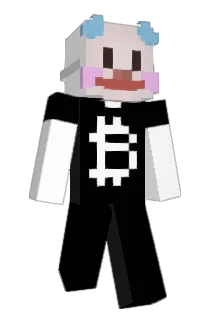 SolanaEnjoyer Minecraft avatar full body