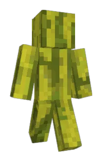 Solarkid Minecraft avatar full body