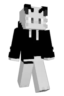 Solarky Minecraft avatar full body