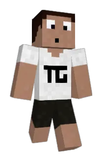 SoldierMichael Minecraft avatar full body