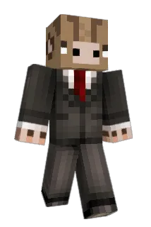SolidArdvark Minecraft avatar full body