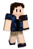 Solidoom Minecraft avatar full body
