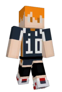 Solium24 Minecraft avatar full body