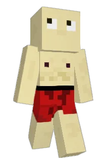 Sollang Minecraft avatar full body