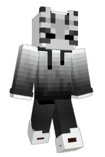 Solo250 Minecraft avatar full body