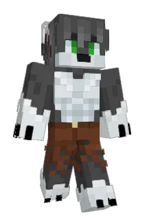 SoloFighter1000 Minecraft avatar full body