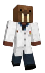 Custom render preview