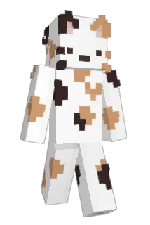 SomSakkkk Minecraft avatar full body