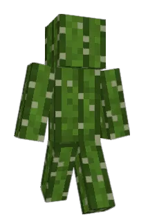 SomeCactus42 Minecraft avatar full body