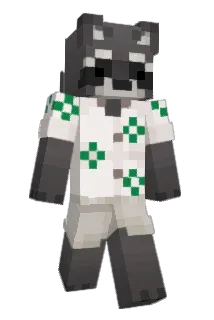 SomeDude42069 Minecraft avatar full body