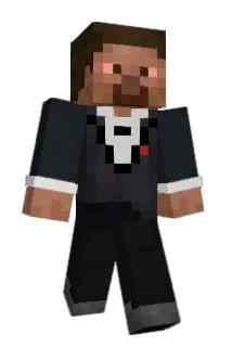 SometimesNo Minecraft avatar full body