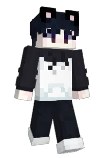 SonTofu99 Minecraft avatar full body