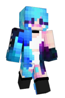 Sonderfiable Minecraft avatar full body