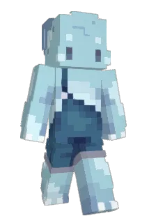Sondern Minecraft avatar full body