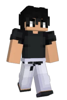 Sonetos Minecraft avatar full body