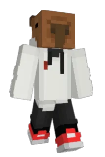Sonic9188 Minecraft avatar full body