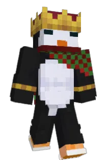 SonicCo65 Minecraft avatar full body
