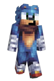 SonicHedgeTrim Minecraft avatar full body