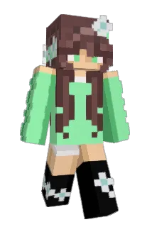 SonicNerd37 Minecraft avatar full body