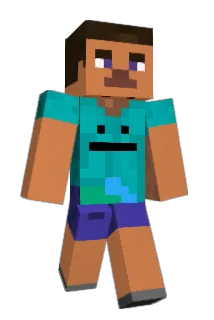 SonicNet Minecraft avatar full body