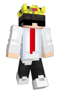 SonicShwen Minecraft avatar full body