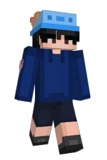 Sonicar Minecraft avatar full body