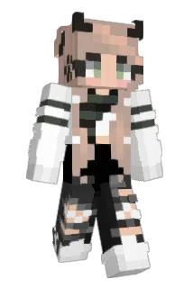 Sonicbow27 Minecraft avatar full body