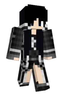 Sonicool411 Minecraft avatar full body