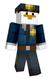Sonizoni Minecraft avatar full body