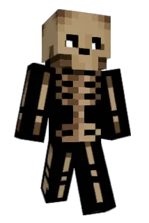 Sonkowaffles Minecraft avatar full body