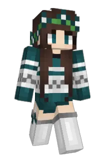 SonnLw Minecraft avatar full body