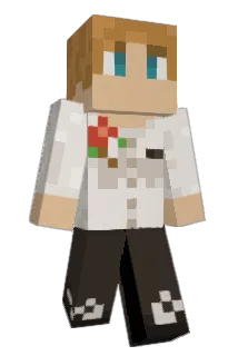 Soollz Minecraft avatar full body