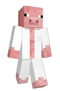 Sopellll Minecraft avatar full body