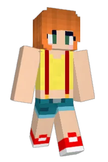 Sork Minecraft avatar full body