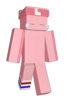 SouNetz Minecraft avatar full body