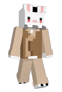 SoulAcount Minecraft avatar full body