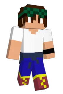 SoulFry Minecraft avatar full body