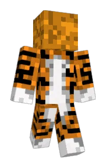 SoupCookies Minecraft avatar full body