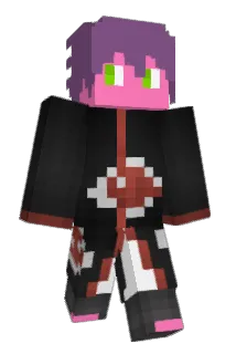 SouperBaer Minecraft avatar full body