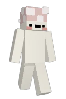 Sourbuun Minecraft avatar full body