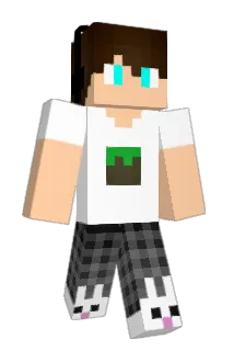 SouthEastfall Minecraft avatar full body