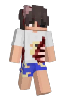 SouthTM Minecraft avatar full body