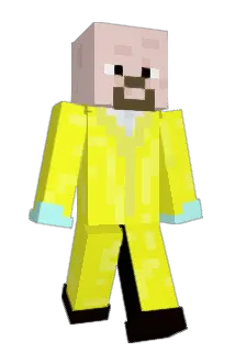 Southernodd2919 Minecraft avatar full body
