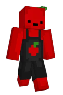 Sowballs Minecraft avatar full body