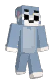 SoyAndree Minecraft avatar full body