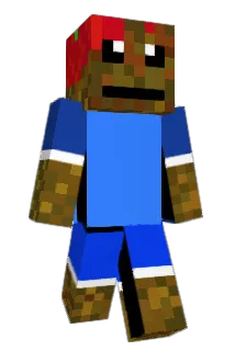 SoySauceEnjoyer8 Minecraft avatar full body