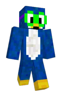 Soys Minecraft avatar full body