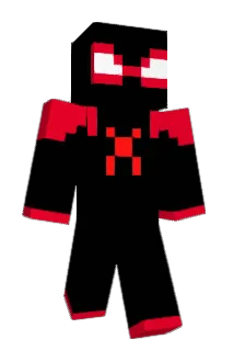 Sp1der9762 Minecraft avatar full body